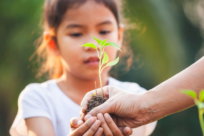 Child holding tree planting