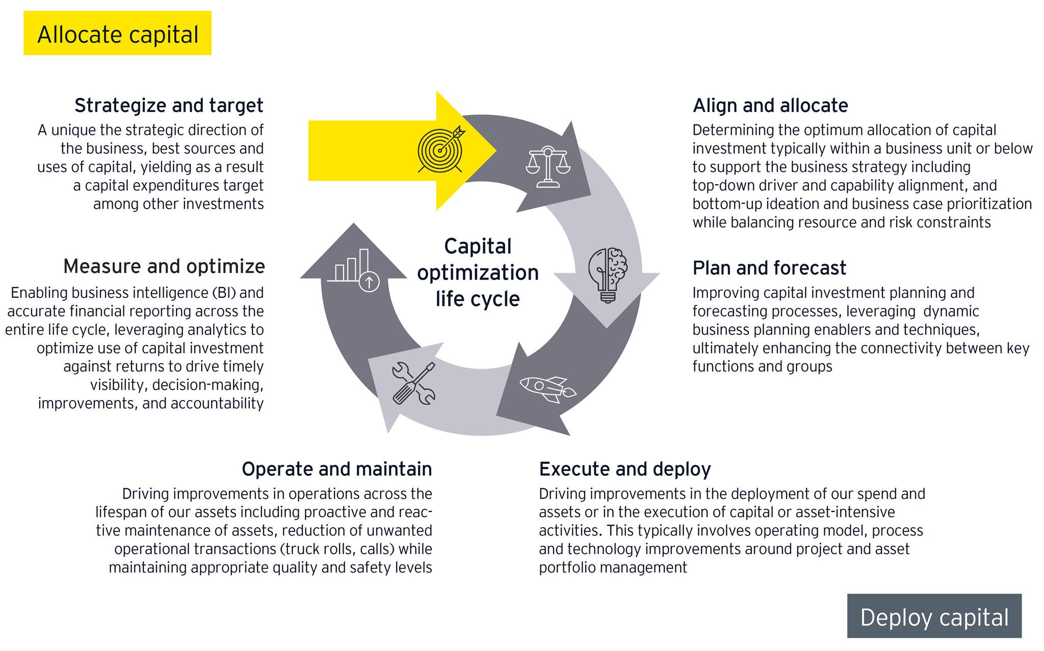COINS-lifecycle_graphic-final